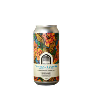 Vault City  Burley Oak  Tropical Sour IPA - Craft Metropolis