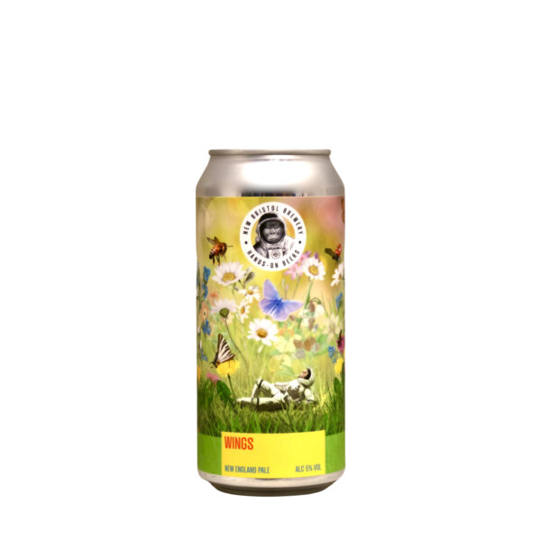 New Bristol – Everything Everywhere IPA